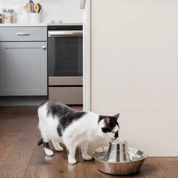 PetSafe Fontaine Pour Animaux De Compagnie En Acier Inoxydable 360 Drinkwell®