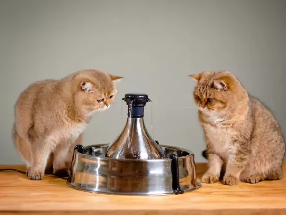 PetSafe Fontaine Pour Animaux De Compagnie En Acier Inoxydable 360 Drinkwell®