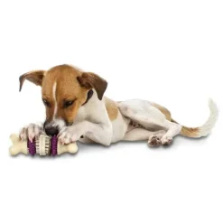 PetSafe Friandises De Forme Circulaire Pour Chiens