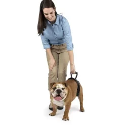 PetSafe Harnais De Levage Arri Re Carelift De ®