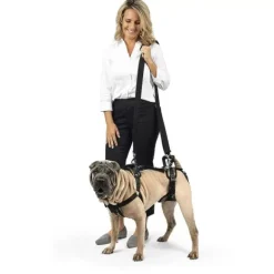 PetSafe Harnais De Levage Carelift De ®