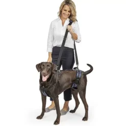 PetSafe Harnais De Levage Carelift De ®
