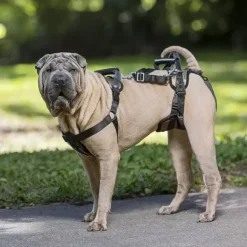 PetSafe Harnais De Levage Carelift De ®