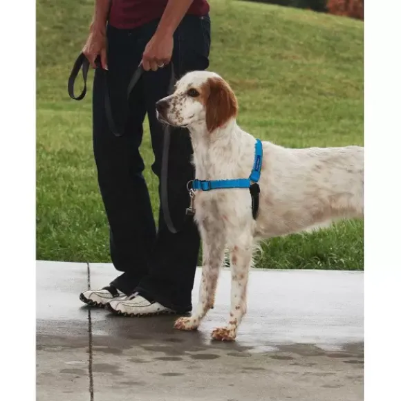 PetSafe Harnais Deluxe Easy Walk®