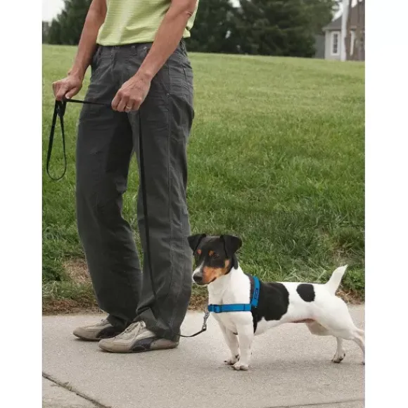 PetSafe Harnais Deluxe Easy Walk®