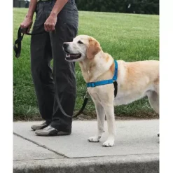 PetSafe Harnais Deluxe Easy Walk®