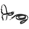 PetSafe Harnais Easy Walk®