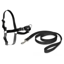 PetSafe Harnais Easy Walk®