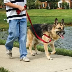 PetSafe Harnais Easy Walk®
