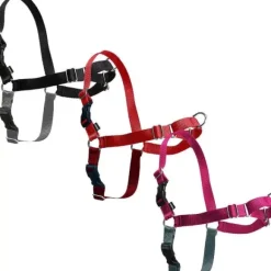 PetSafe Harnais Easy Walk®