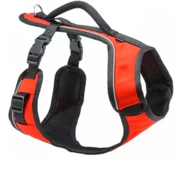 PetSafe Harnais Easysport