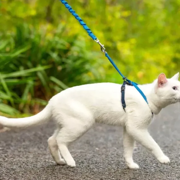 PetSafe Harnais Pour Chats Easy Walk