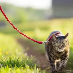 PetSafe Harnais Pour Chats Easy Walk