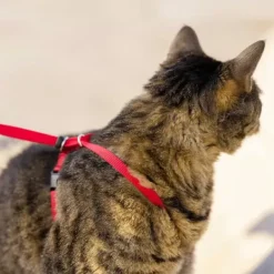 PetSafe Harnais Pour Chats Easy Walk
