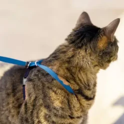 PetSafe Harnais Pour Chats Easy Walk