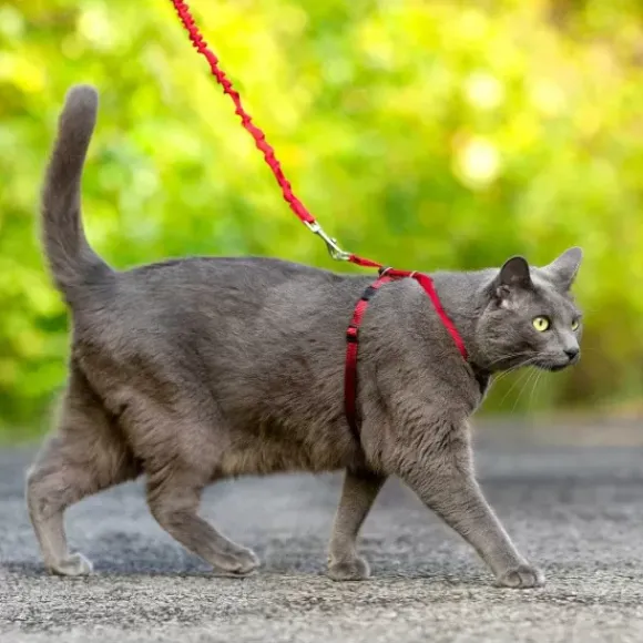 PetSafe Harnais Pour Chats Easy Walk
