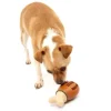 PetSafe Jouet Friandises Chompin' Chicken Pour Chien