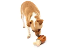 PetSafe Jouet Friandises Chompin' Chicken Pour Chien