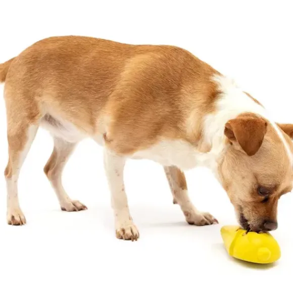 PetSafe Jouet Friandises Congelable Pour Chiens Frosty Cone