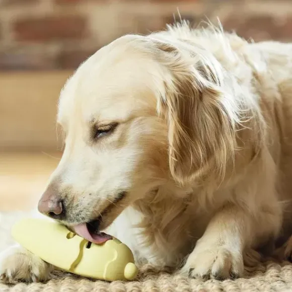 PetSafe Jouet Friandises Congelable Pour Chiens Frosty Cone