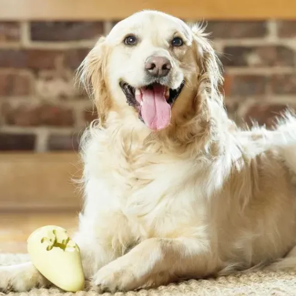 PetSafe Jouet Friandises Congelable Pour Chiens Frosty Cone
