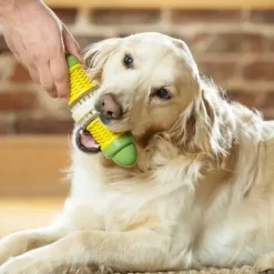PetSafe Jouet Friandises Cravin' Corncob Pour Chien