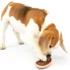PetSafe Jouet Friandises, Steak