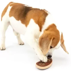 PetSafe Jouet Friandises, Steak