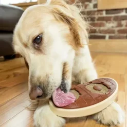 PetSafe Jouet Friandises, Steak