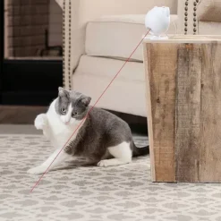 PetSafe Jouet Laser Pour Chats Dancing Dot