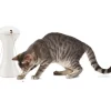 PetSafe Jouet Multi-Lasers