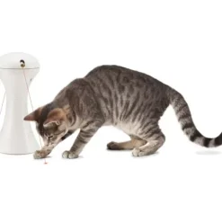 PetSafe Jouet Multi-Lasers