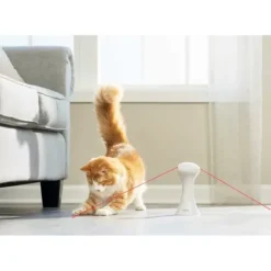 PetSafe Jouet Multi-Lasers