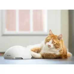 PetSafe Jouet Terrier Du Renard Jeu Casse-T Te Automatique Pour Chats