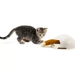 PetSafe Jouet Terrier Du Renard Jeu Casse-T Te Automatique Pour Chats