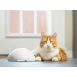 PetSafe Jouet Terrier Du Renard Jeu Casse-T Te Automatique Pour Chats