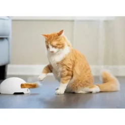 PetSafe Jouet Terrier Du Renard Jeu Casse-T Te Automatique Pour Chats