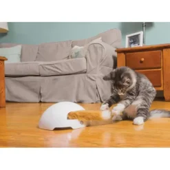 PetSafe Jouet Terrier Du Renard Jeu Casse-T Te Automatique Pour Chats