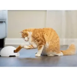 PetSafe Jouet Terrier Du Renard Jeu Casse-T Te Automatique Pour Chats
