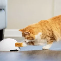 PetSafe Jouet Terrier Du Renard Jeu Casse-T Te Automatique Pour Chats