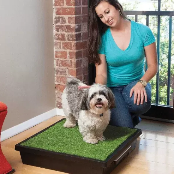 PetSafe Kit Jetable Pour Urine Pee-Pod Pour Toilettes Pet Loo (Pack De 7)