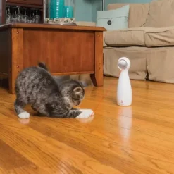 PetSafe Laser Automatique Bolt
