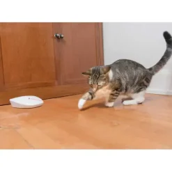 PetSafe Laser Automatique Roulant Laser Tail