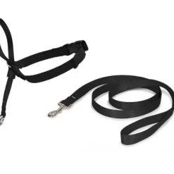 PetSafe Licol Easy Walk®