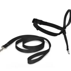 PetSafe Licol Easy Walk®
