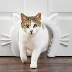 PetSafe Passage Pour Chat Cat Corridor