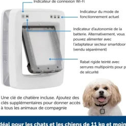 PetSafe Porte Connect E Pour Animaux Smartdoor