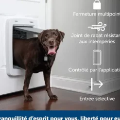 PetSafe Porte Connect E Pour Animaux Smartdoor