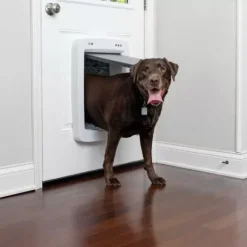 PetSafe Porte Connect E Pour Animaux Smartdoor