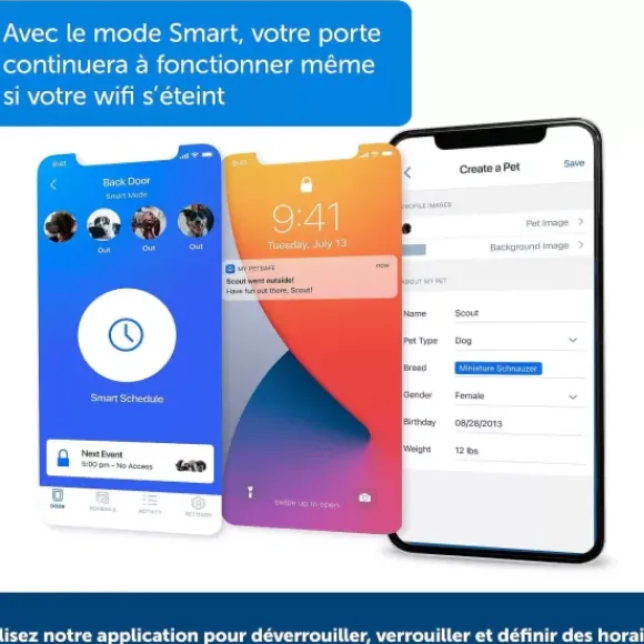PetSafe Porte Connect E Pour Animaux Smartdoor